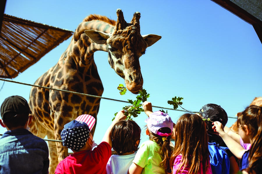 Lo Zoo d'Abruzzo