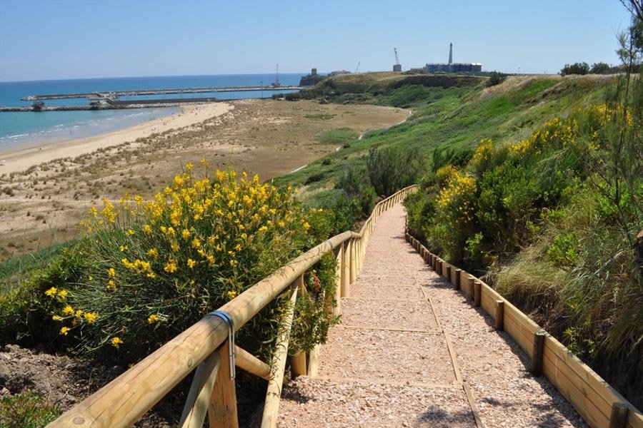 spiaggia-punta-penna